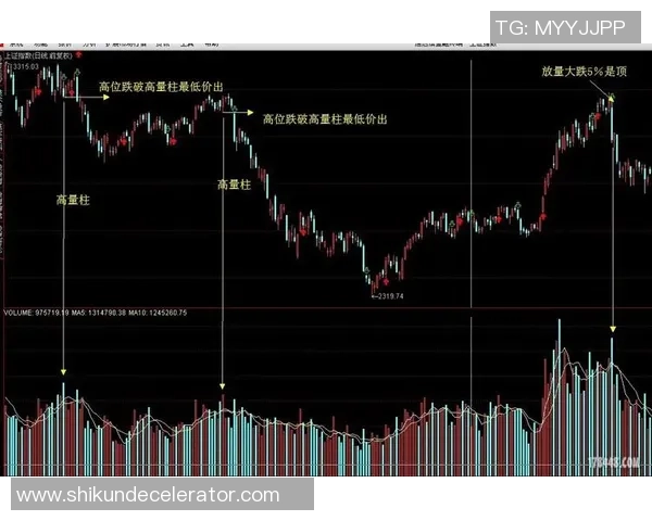 聚焦和平精英EDG团队协作的成功秘诀与战术分析