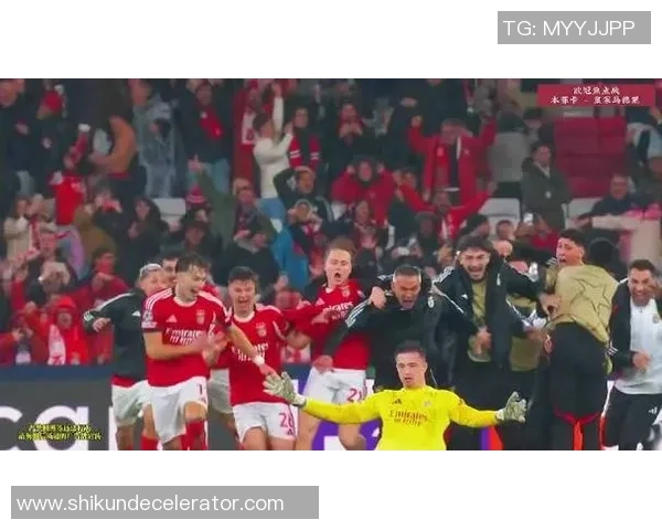 欧冠精彩对决多特蒙德3-0本菲卡战术分析与绝杀瞬间回顾