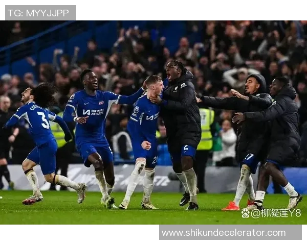 德甲精彩对决多特蒙德与切尔西战成平局引发全场热议